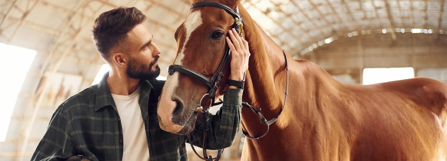 Equine Therapy