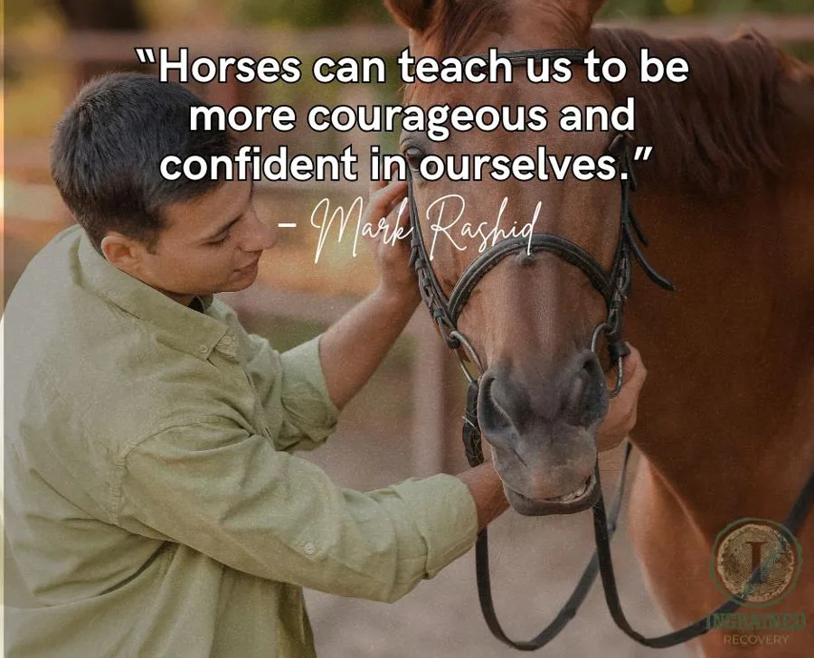 Benefits of Equine Therapy Quote