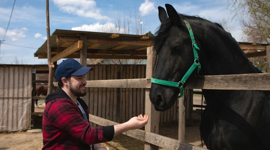 Does Insurance Cover Equine Therapy?