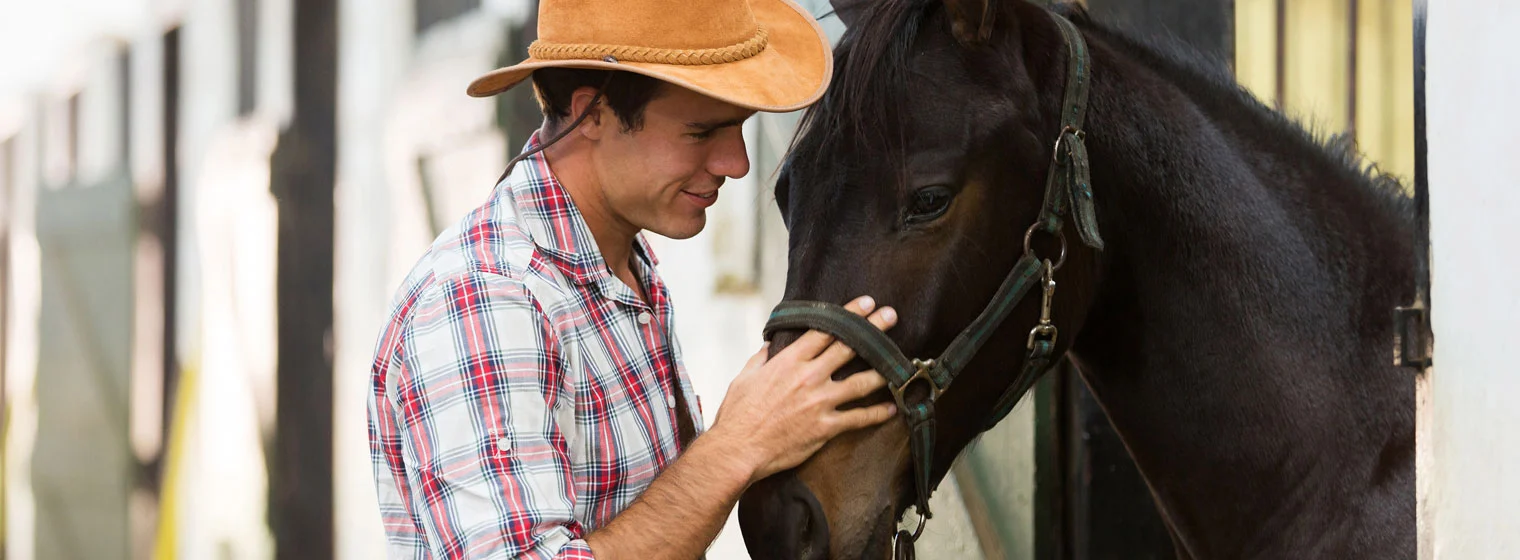 Equine Therapy at Ingrained Recovery