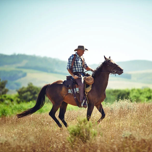 Equine-assisted Therapy