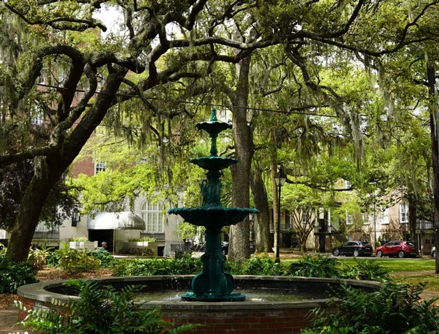 Outdoor Activities in Savannah