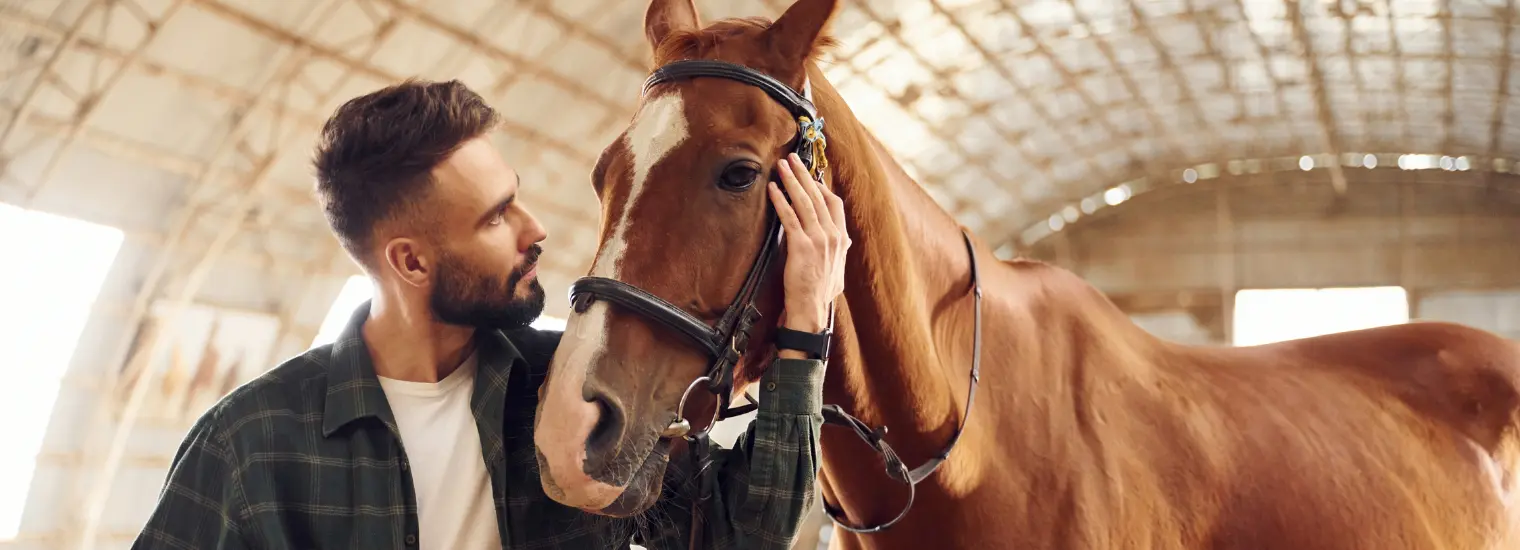 OK Corral Equine Assisted Therapy Programs