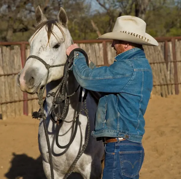 Equine Assisted Therapy