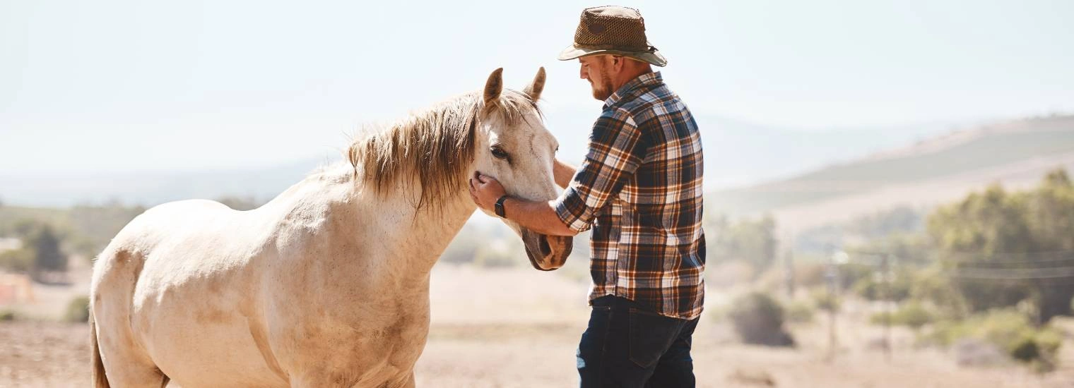 Befriend the Animals - The Farm at Little Fox Hollow