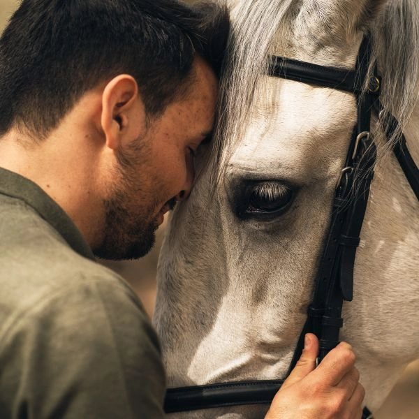 Equine Therapy - Unique Treatment for Mental Health Disorders