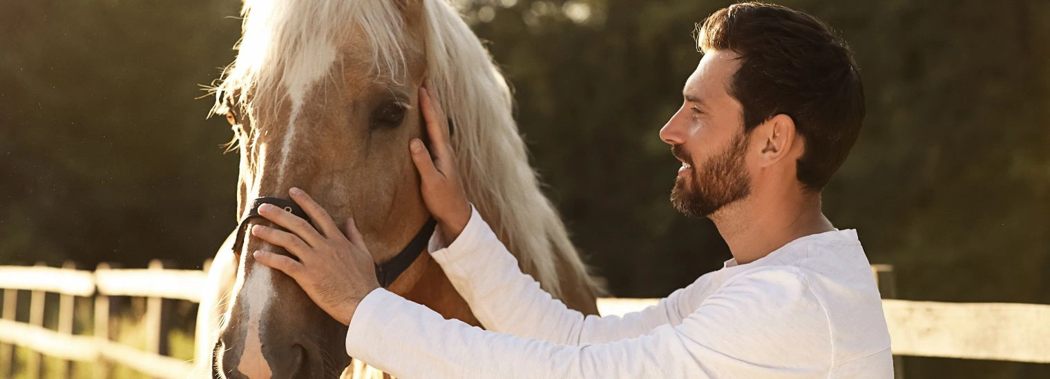 Equine Therapy as a Component of Family Rehab Program