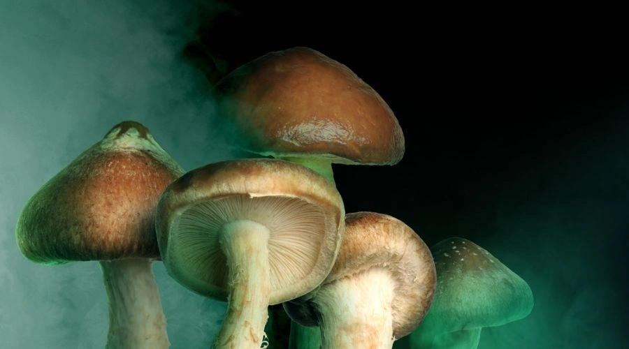 Spores from Smoking Shrooms