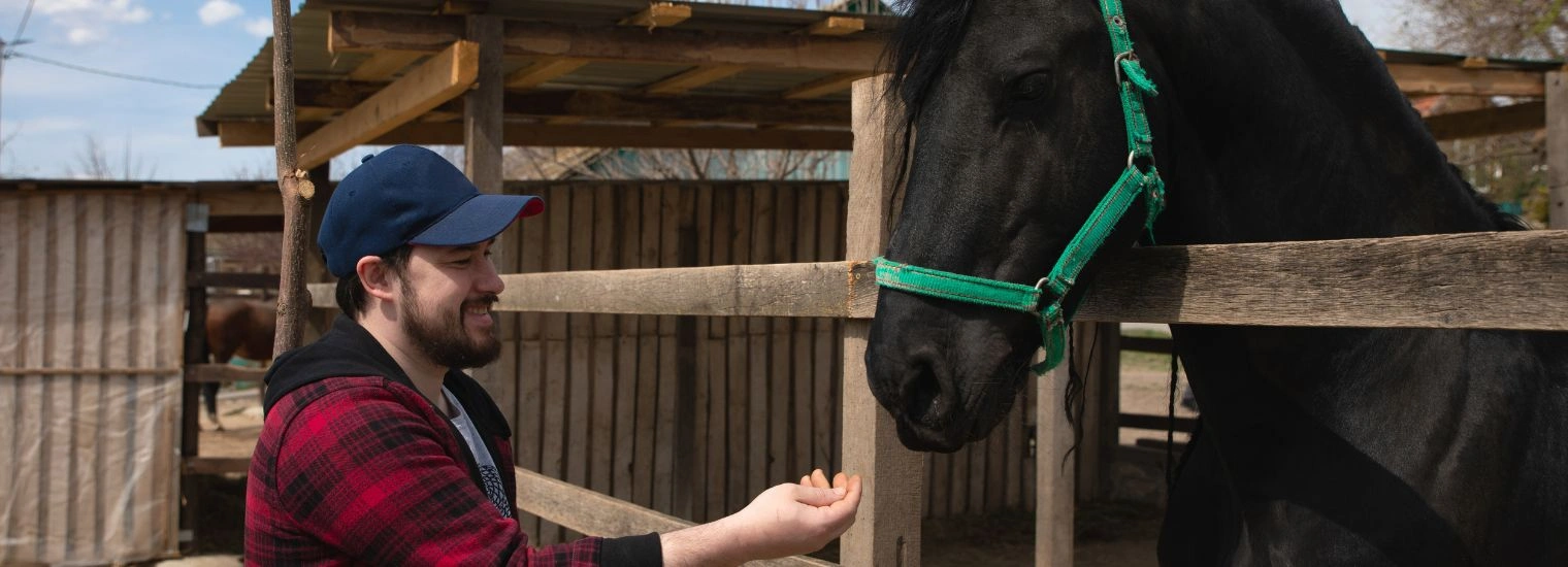 Equine Therapy for Marijuana Rehab Georgia