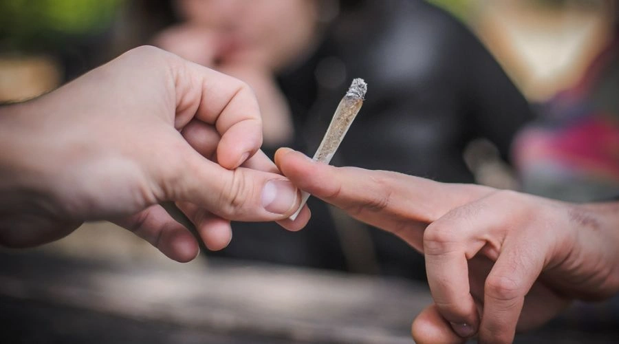 Signs of Cannabis Addiction