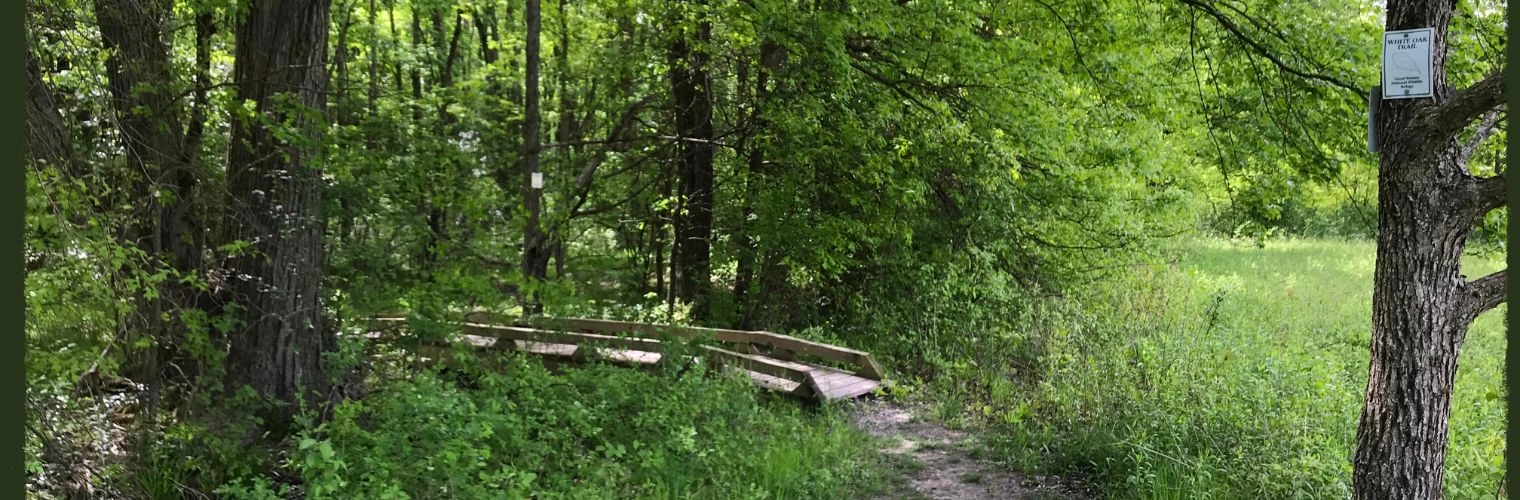 Vernon Oaks Park - Sober Activities in Dunwoody, Georgia