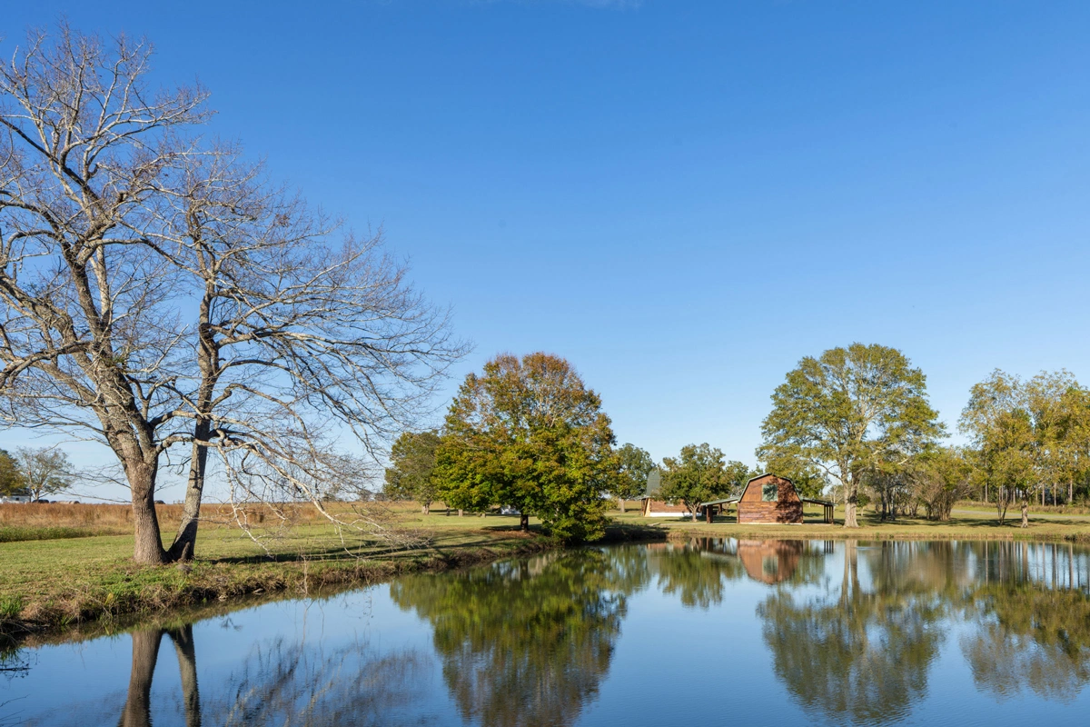 Ingrained Recovery Fishing Pond