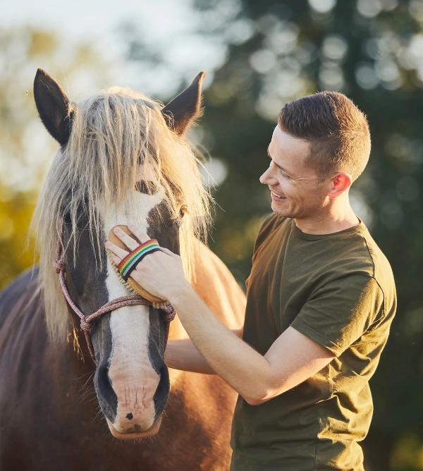 Image of a content male , smiling and standing beside a horse, brushing the horse's nose - Difference Between Hippotherapy and Equine Therapy