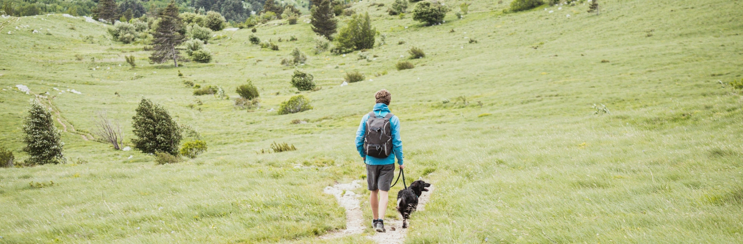 Image of a man walking his dog outdoors on a grassy hillside area outside of Ingrained Recovery - A Rehab That Allows Pets
