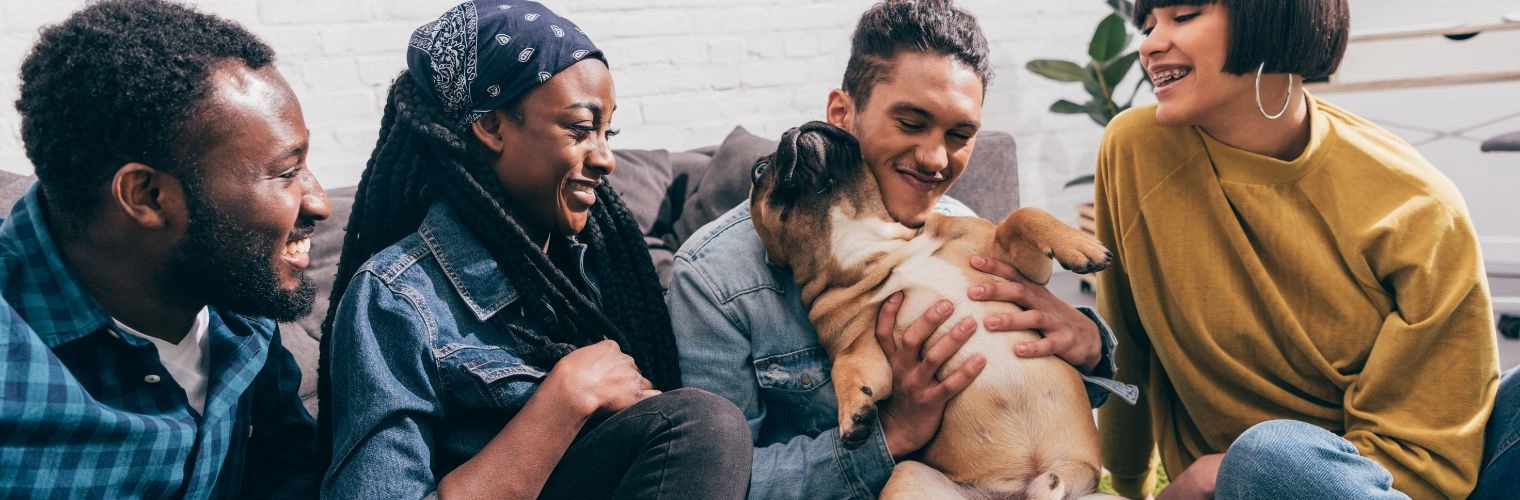 Image of a man holding his deep therapy dog in a group situation - Deep Pressure Therapy Dog - Ingrained Recovery