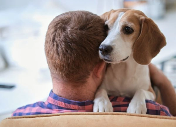 Image of a man sitting on a sofa with a deep pressure therapy dog leaning on his head for calming support