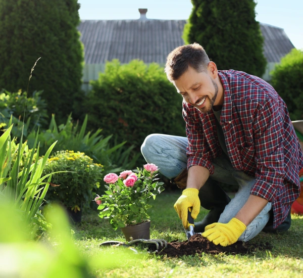 Image of a person gardening in a peaceful outdoor setting Image of a content man gardening in a peaceful outdoor setting