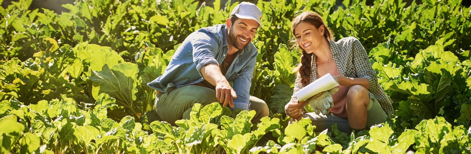 Image of a young couple working in garden as part of Garden Therapy for addiction recovery Image of a man an women working in garden as part of Garden Therapy for addiction recovery