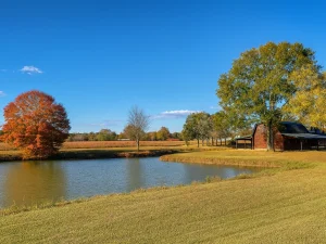 ingrained-recovery-pond-sunlight-pic-retouched A sunny day strikes the pond at Ingrained Recovery in Eastman GA