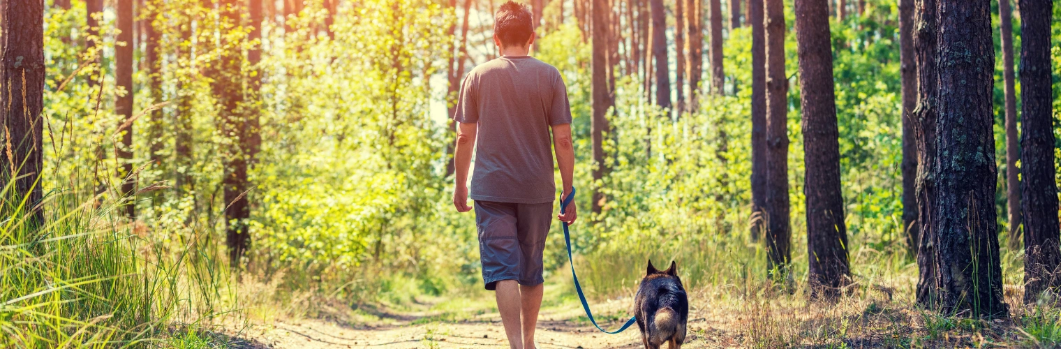 Image of person walking outside for self-care during addiction recovery process Image of a man walking outside with his dog for self-care during addiction recovery process