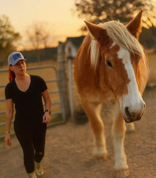 Equine therapist Christy works with a horse during a golden sunset at Ingrained in Eastman Equine therapist Christy works with a horse during a golden sunset at Ingrained in Eastman
