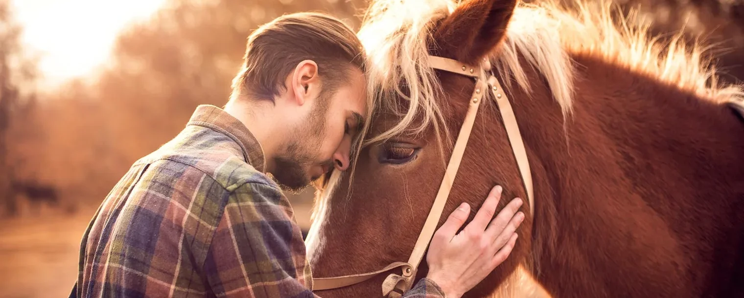 Image of a man resting his forehead against a horse during an equine therapy session for emotional regulation Image of a man resting his forehead against a horse during an equine therapy session for emotional regulation