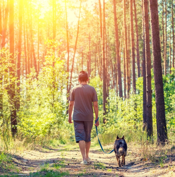 Image of a person walking mindfully along a quiet forest path Image of a person walking mindfully along a quiet forest path