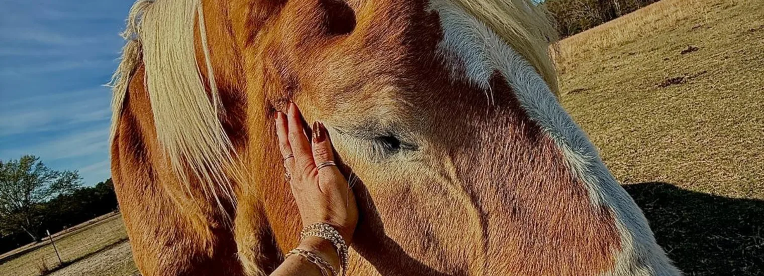 horse-petting-during-equine-therapy-ingrained-rehab-georgia A horse is comforted during equine programs that help with regulating emotions